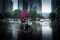 在雨中