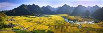 美丽乡村