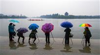 《雨中坚守》