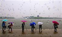 《雨中摄》