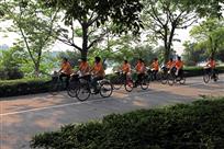 踏晨光