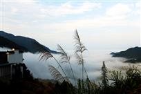 IMG_0171