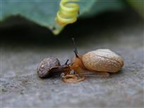 共进早餐