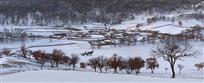 南井初雪