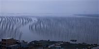 出海