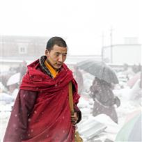 风雪归途