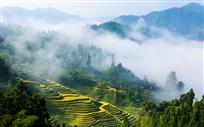 山里人家
