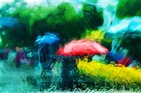 雨季色彩
