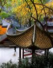 秋染寺院