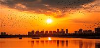 夕阳西下
