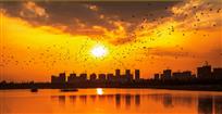 夕阳西下(2)