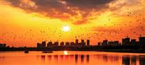 夕阳西下(3)