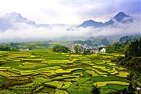 美丽的乡村