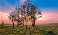 《坝上夕阳》