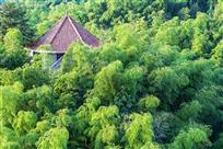 竹林小屋