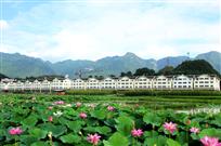新农村