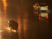 风雨夜归