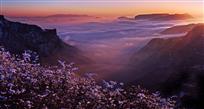 轿顶山