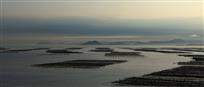 云山滩涂