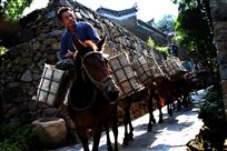 山村建设马帮来