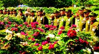 《功勋观国花》