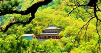 《深山藏古寺》