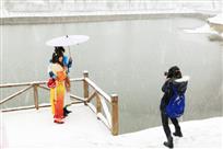 雪中情