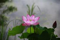 五谷丰登
