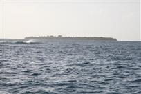 大海