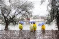 雨中的写生