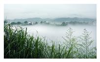 雨雾山村