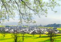 静谧乡村