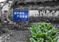 触摸