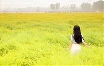 陌上花开