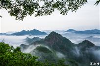 董家口云海