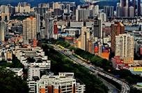城市森林（组照）