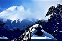 富士山下