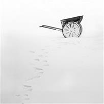 雪韵
