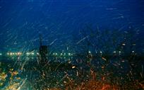 《风画雪夜》