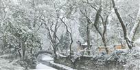 古寺新雪