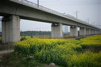 驶向春天里