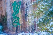 莫干---翠