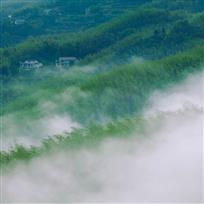 岚
