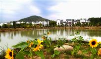 美丽乡村