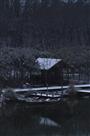 雪后小景