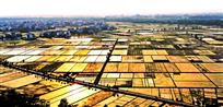 田园春韵
