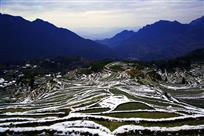 梯田残雪