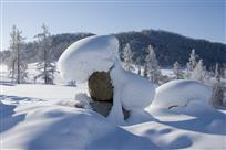 梦境中的雪蘑菇