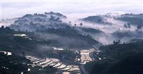 仙境