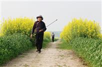春耕时节